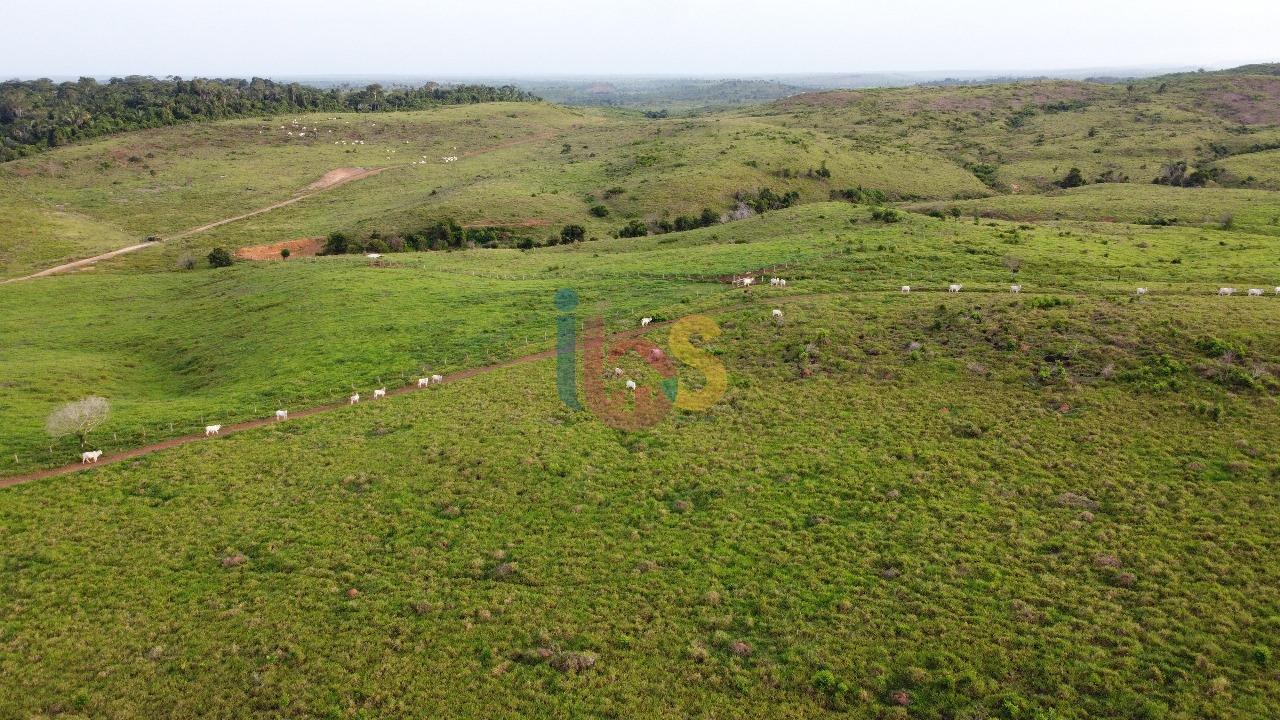 Fazenda, 7260 m² - Foto 10