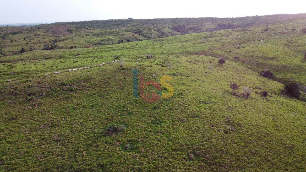 Fazenda, 7260 m² - Foto 6