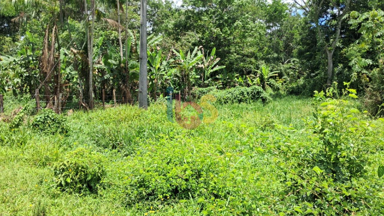 Terreno, 15 hectares - Foto 10