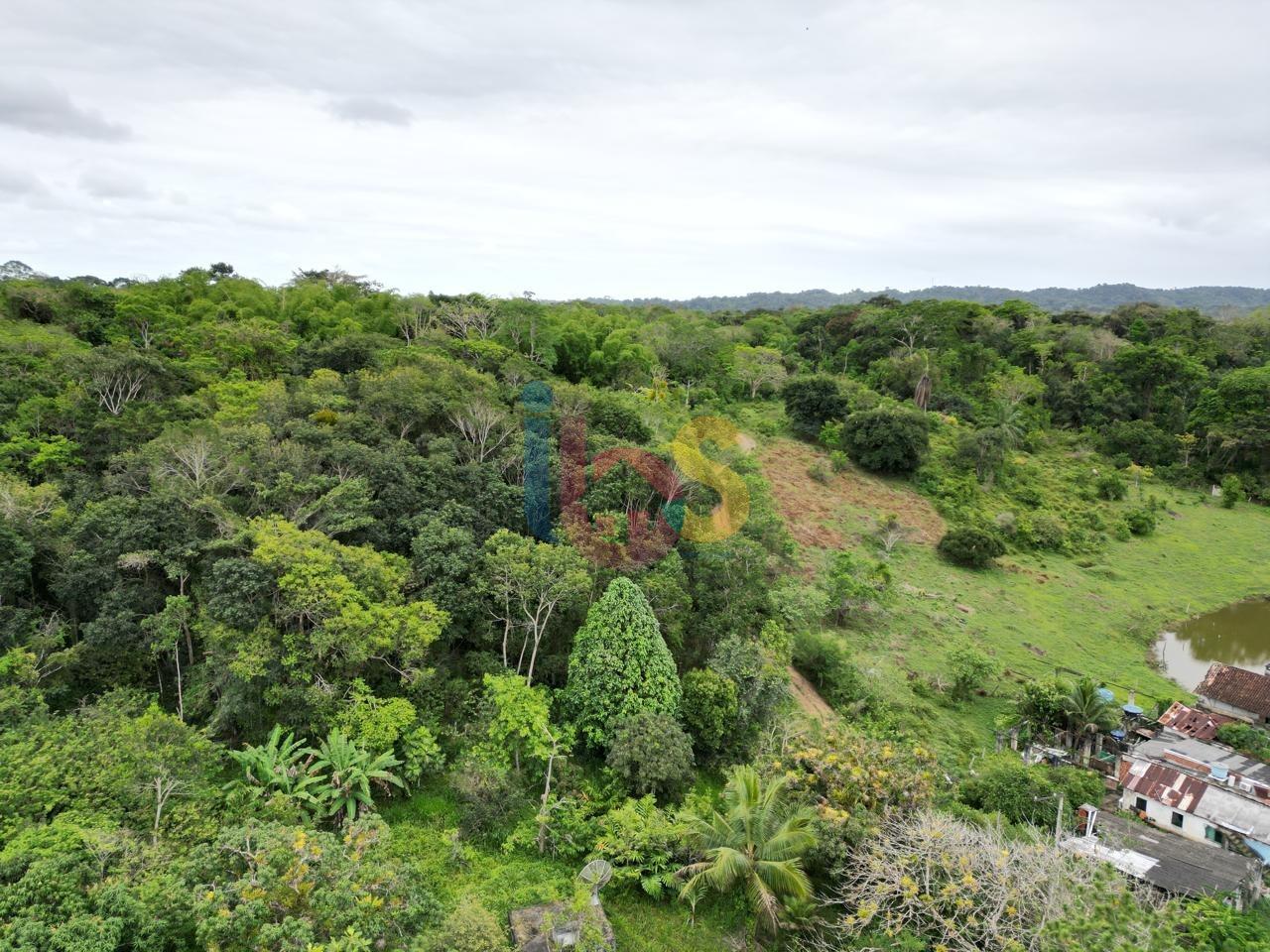 Terreno, 15 hectares - Foto 9