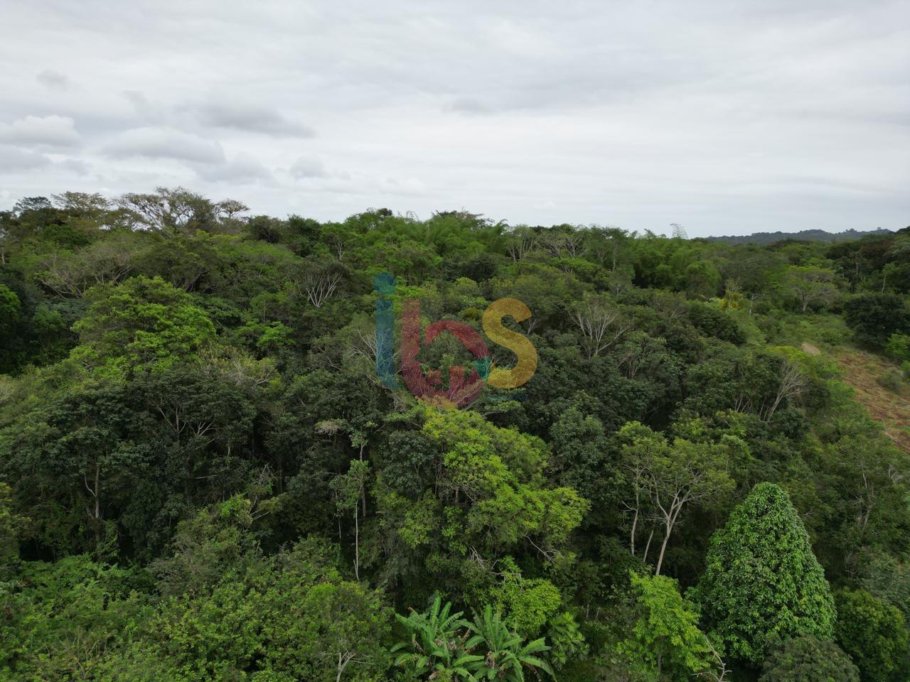 Terreno, 15 hectares - Foto 8