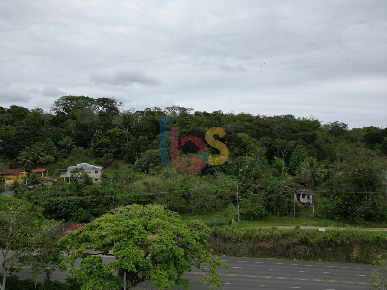 Terreno, 15 hectares - Foto 6