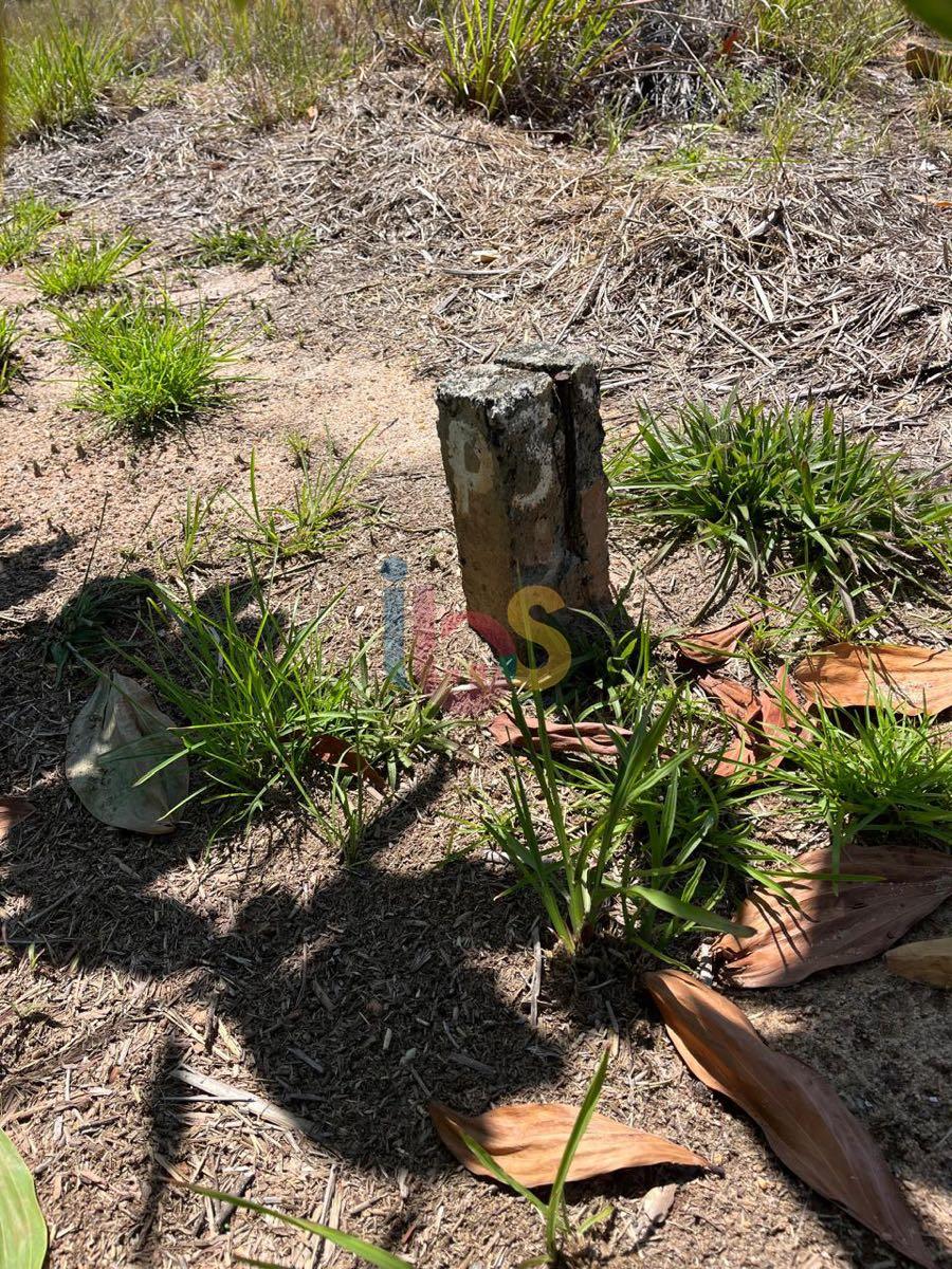 Terreno, 450 m² - Foto 12