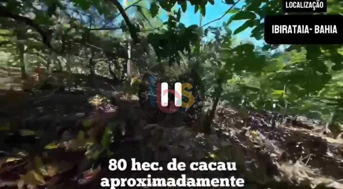 Fazenda-Sítio-Chácara - Foto 13