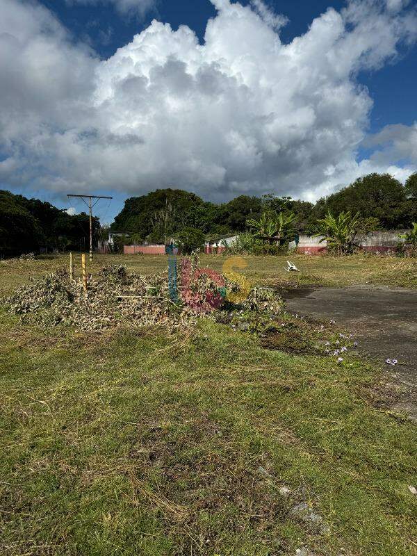 Terreno, 1 hectares - Foto 4