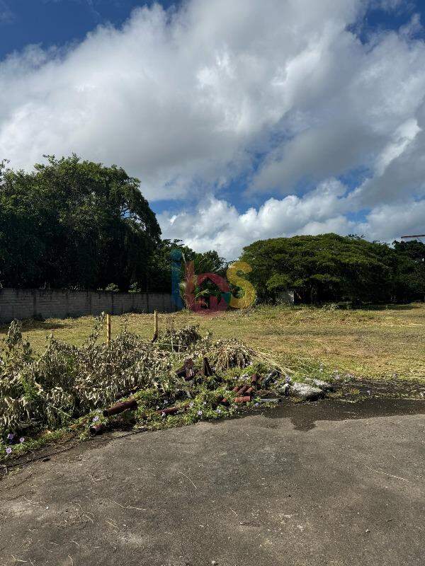 Terreno, 1 hectares - Foto 3