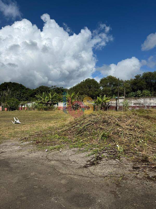 Terreno, 1 hectares - Foto 5