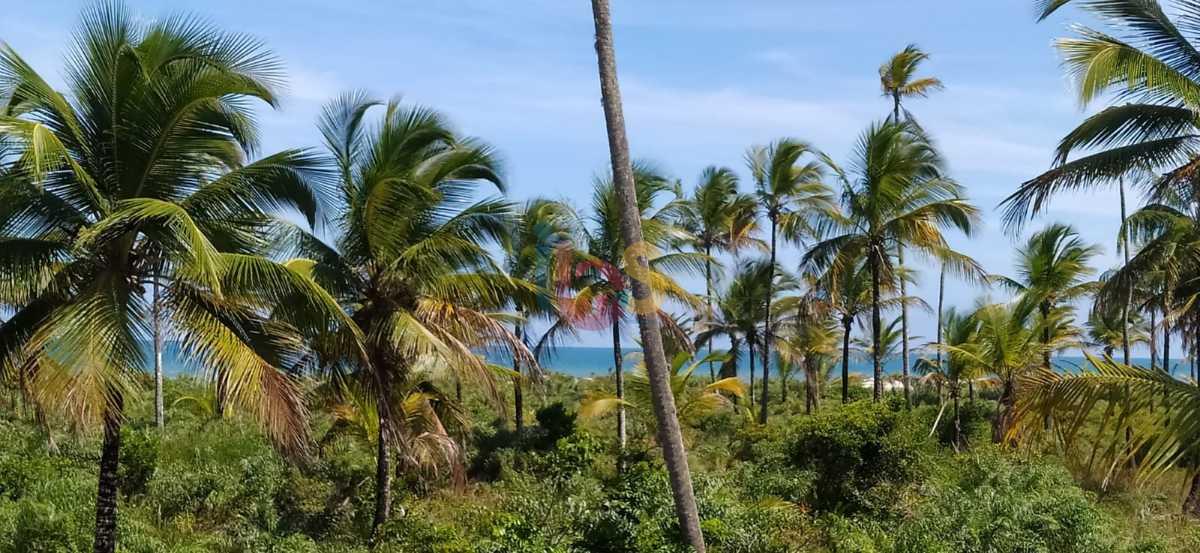 Apartamento, 2 quartos, 65 m² - Foto 10