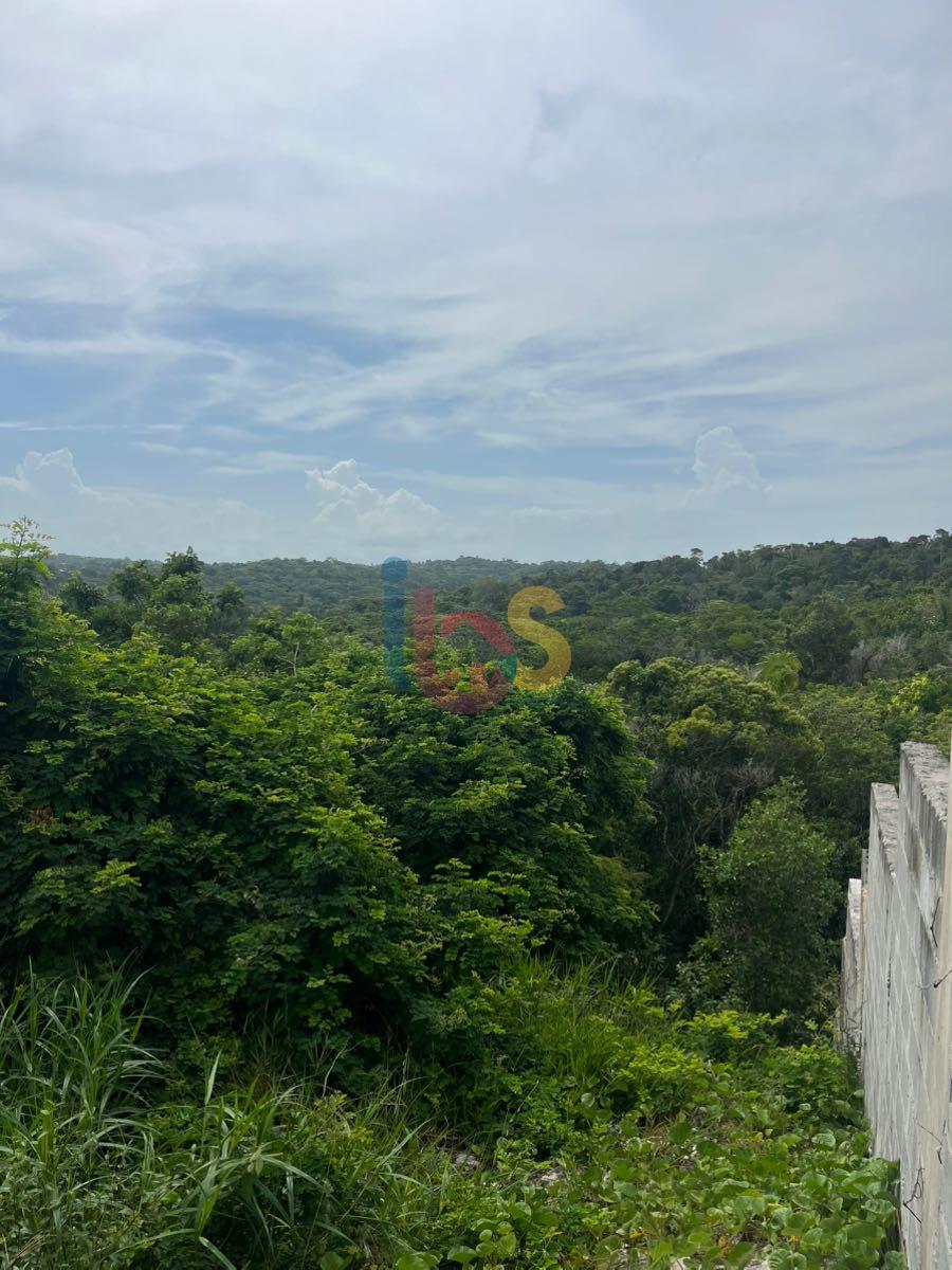 Terreno, 600 m² - Foto 6