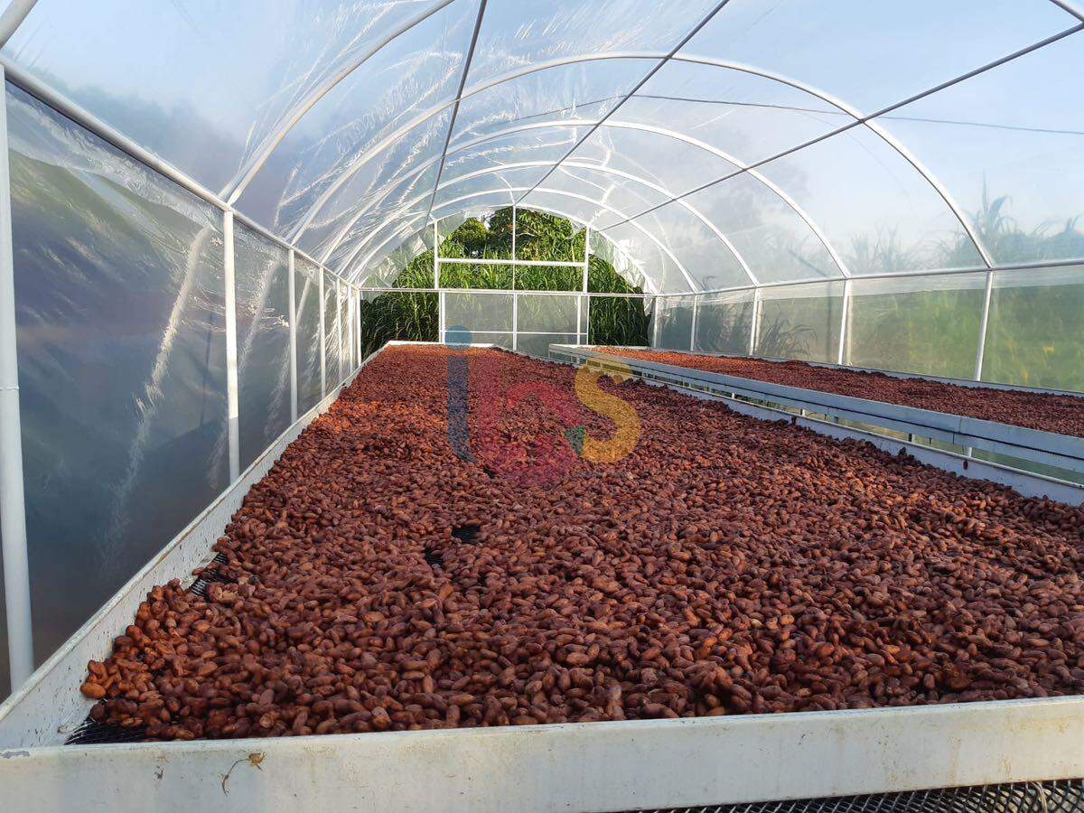 Fazenda, 159 hectares - Foto 12