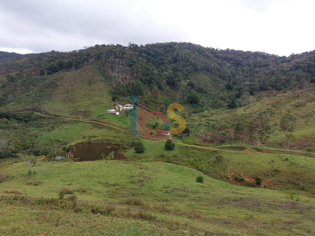 Fazenda, 159 hectares - Foto 14