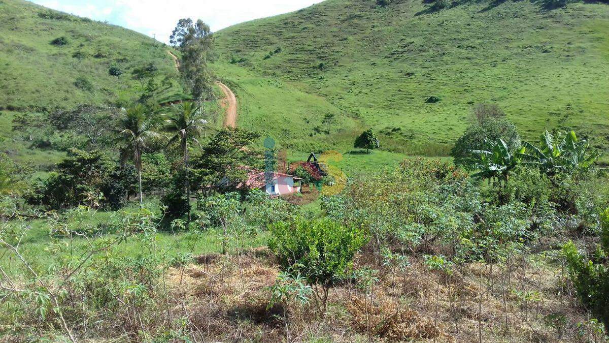 Fazenda, 159 hectares - Foto 11