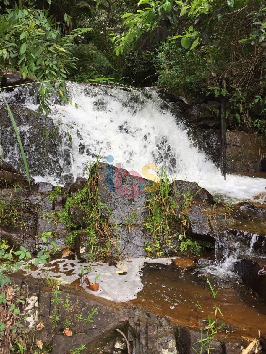 Fazenda, 159 hectares - Foto 3