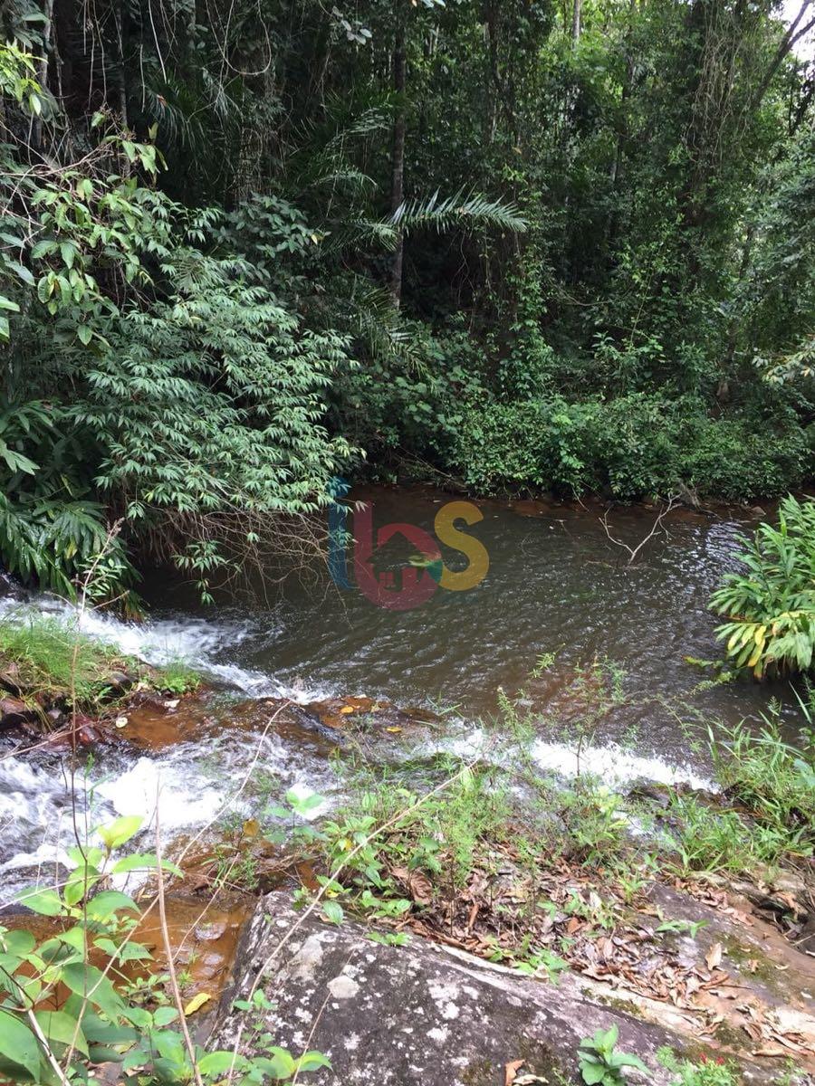 Fazenda, 159 hectares - Foto 4