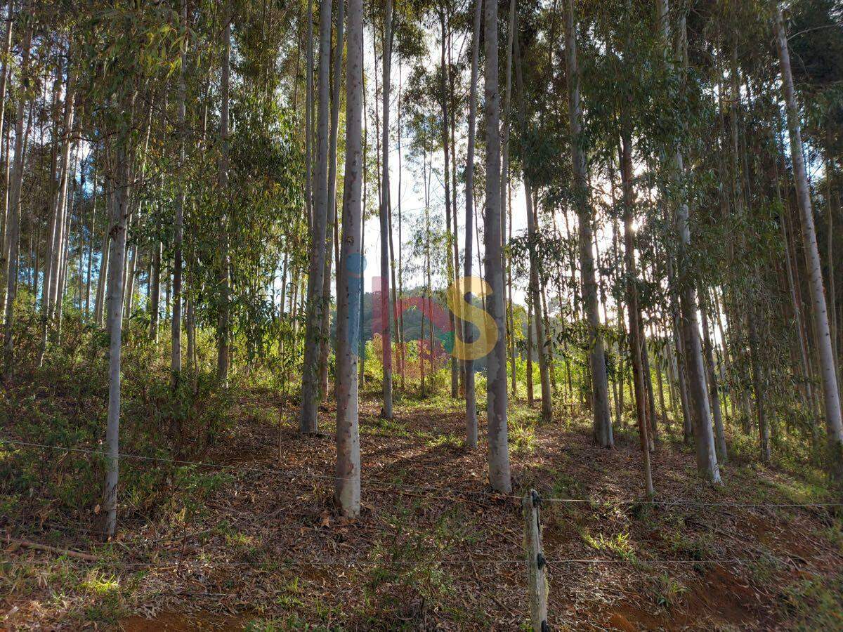 Fazenda, 159 hectares - Foto 8