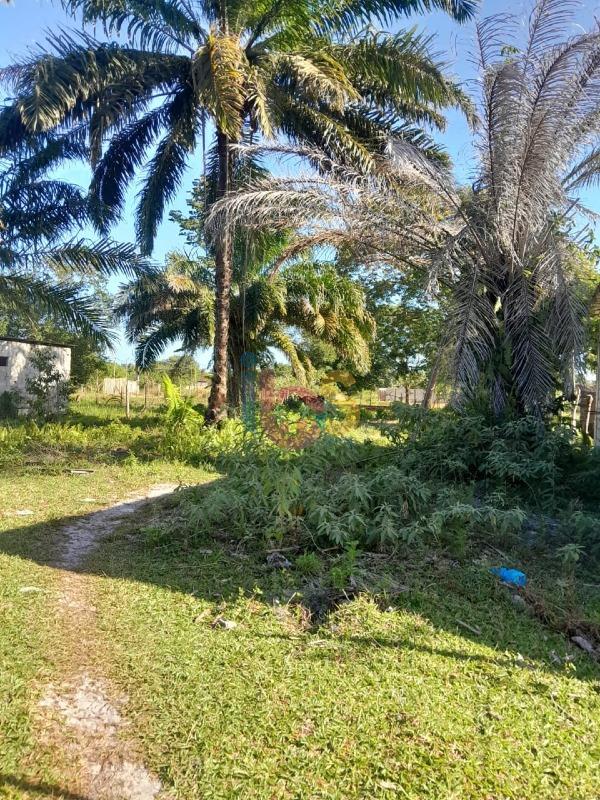 Terreno, 800 m² - Foto 2