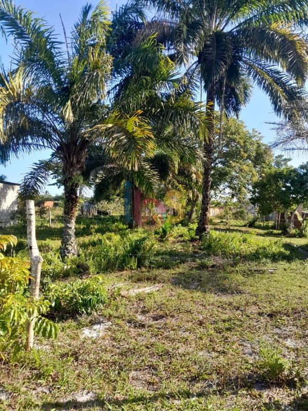 Terreno, 800 m² - Foto 3