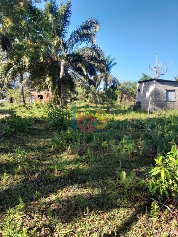 Terreno, 800 m² - Foto 4