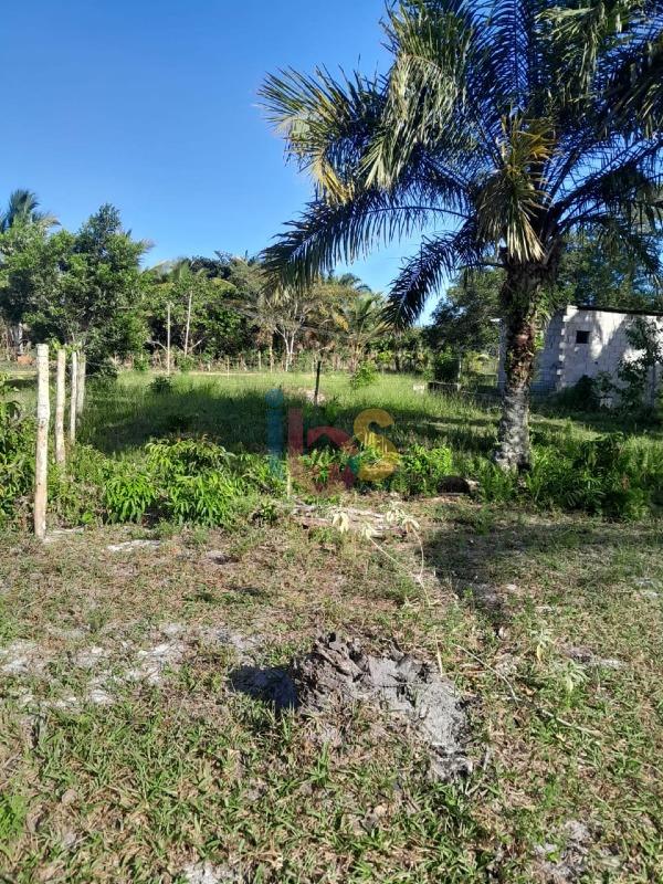 Terreno, 800 m² - Foto 5