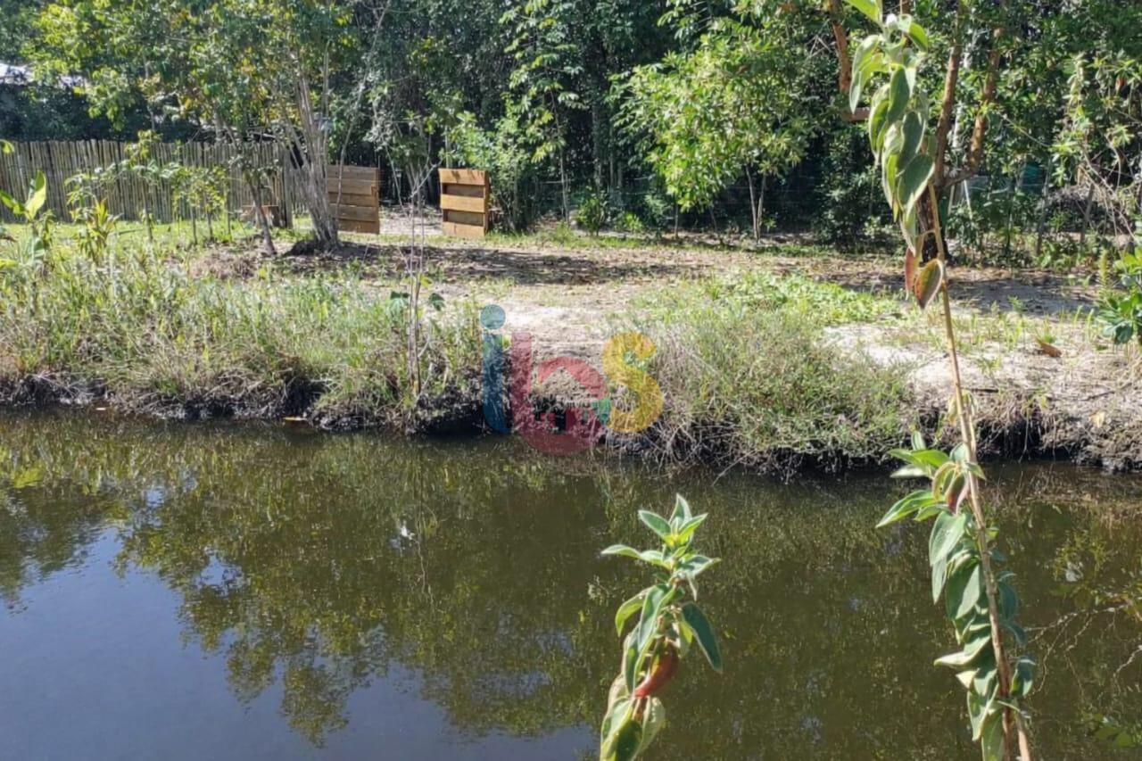 Terreno, 300 m² - Foto 3