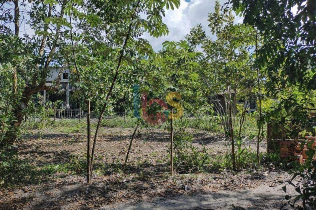 Terreno, 300 m² - Foto 1