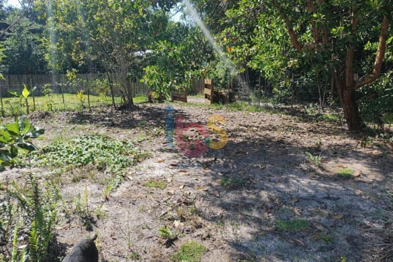 Terreno, 300 m² - Foto 6