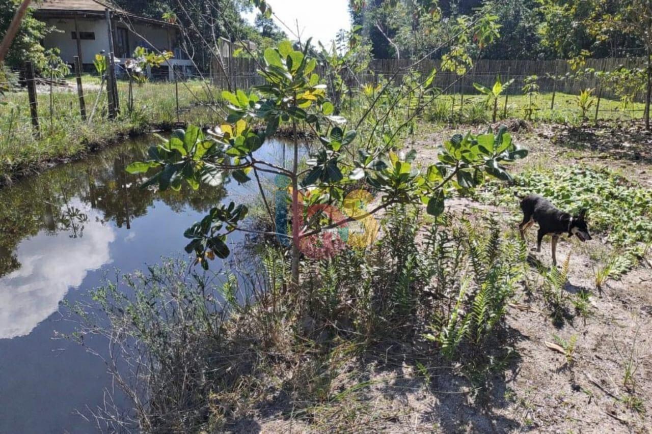 Terreno, 300 m² - Foto 4