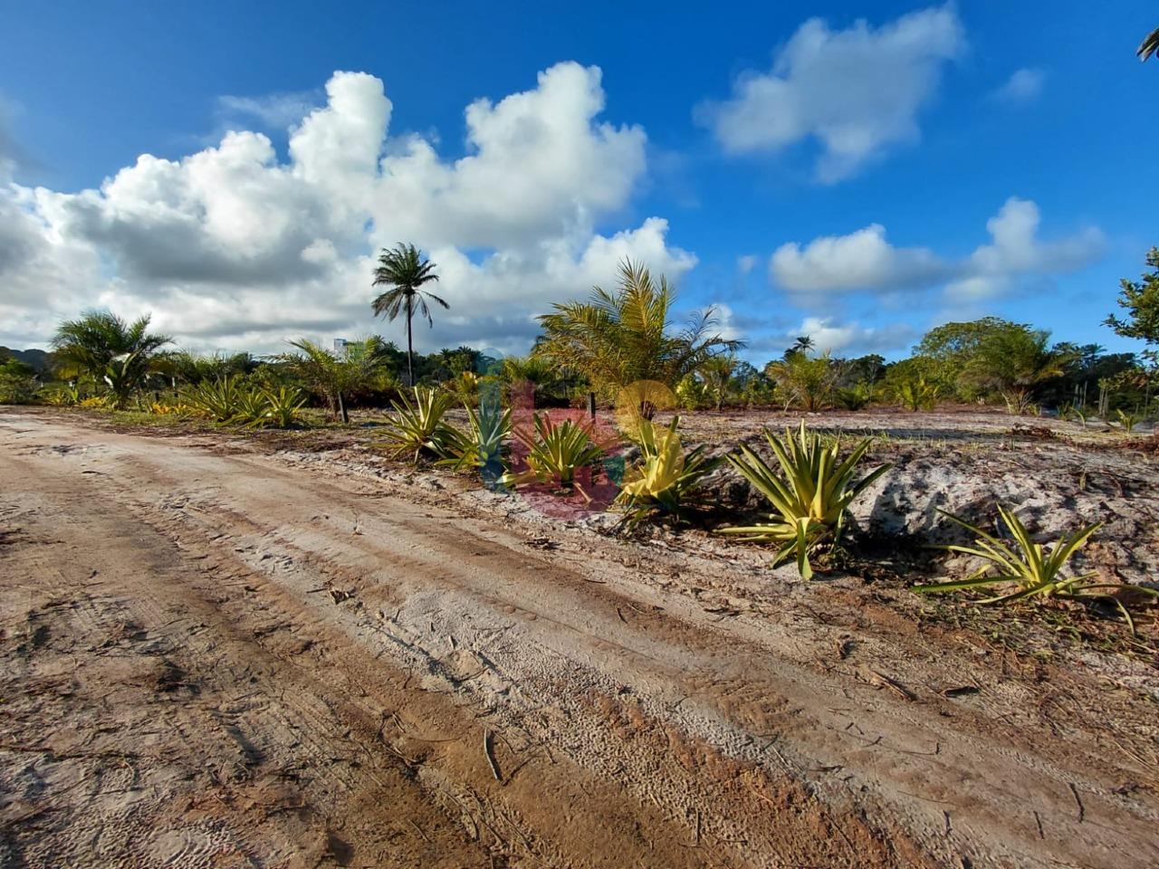 Terreno, 1050 m² - Foto 3