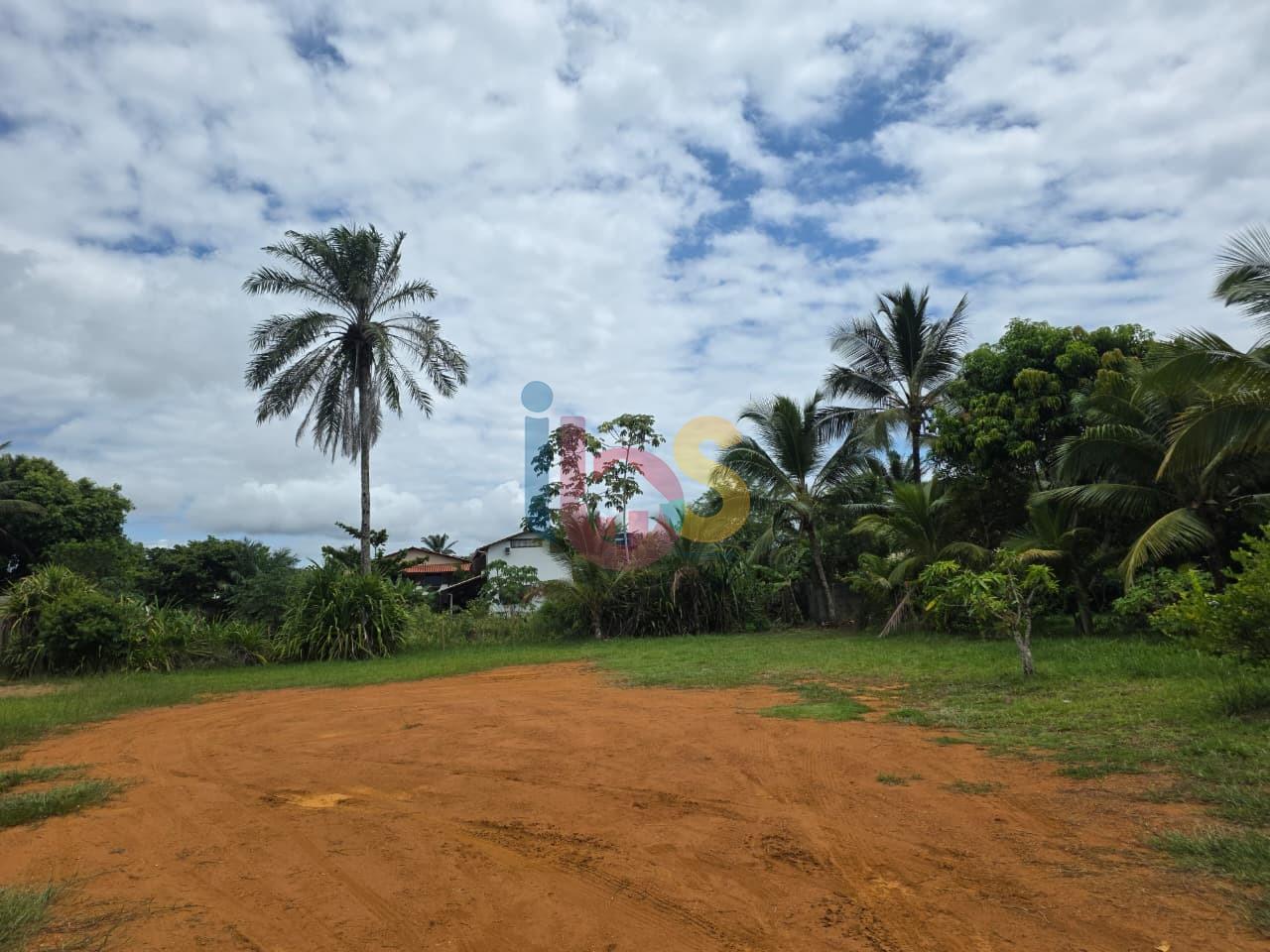 Terreno, 100 hectares - Foto 7