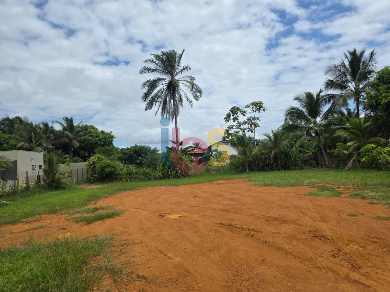 Terreno, 100 hectares - Foto 5