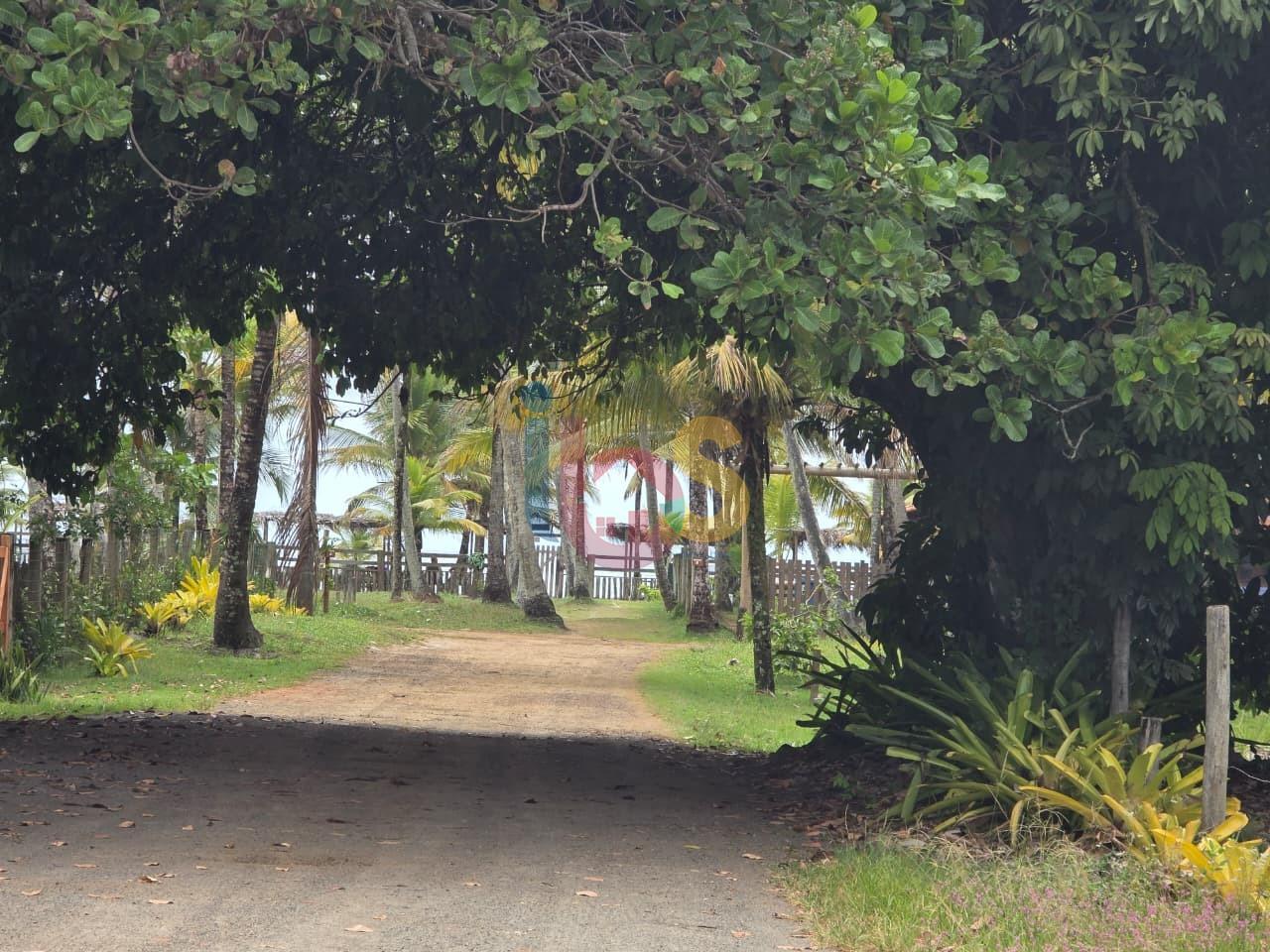 Terreno, 100 hectares - Foto 2