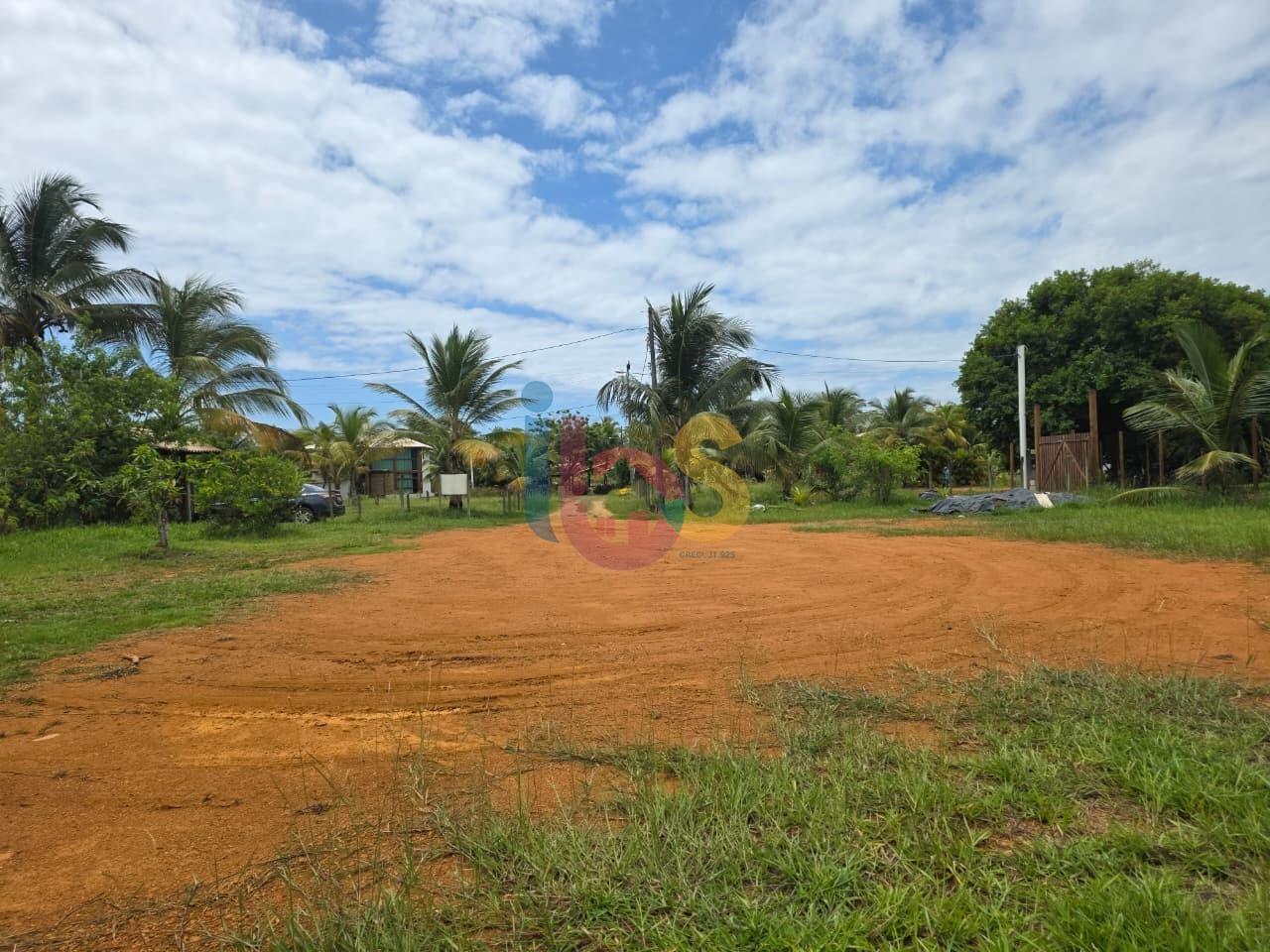 Terreno, 100 hectares - Foto 4