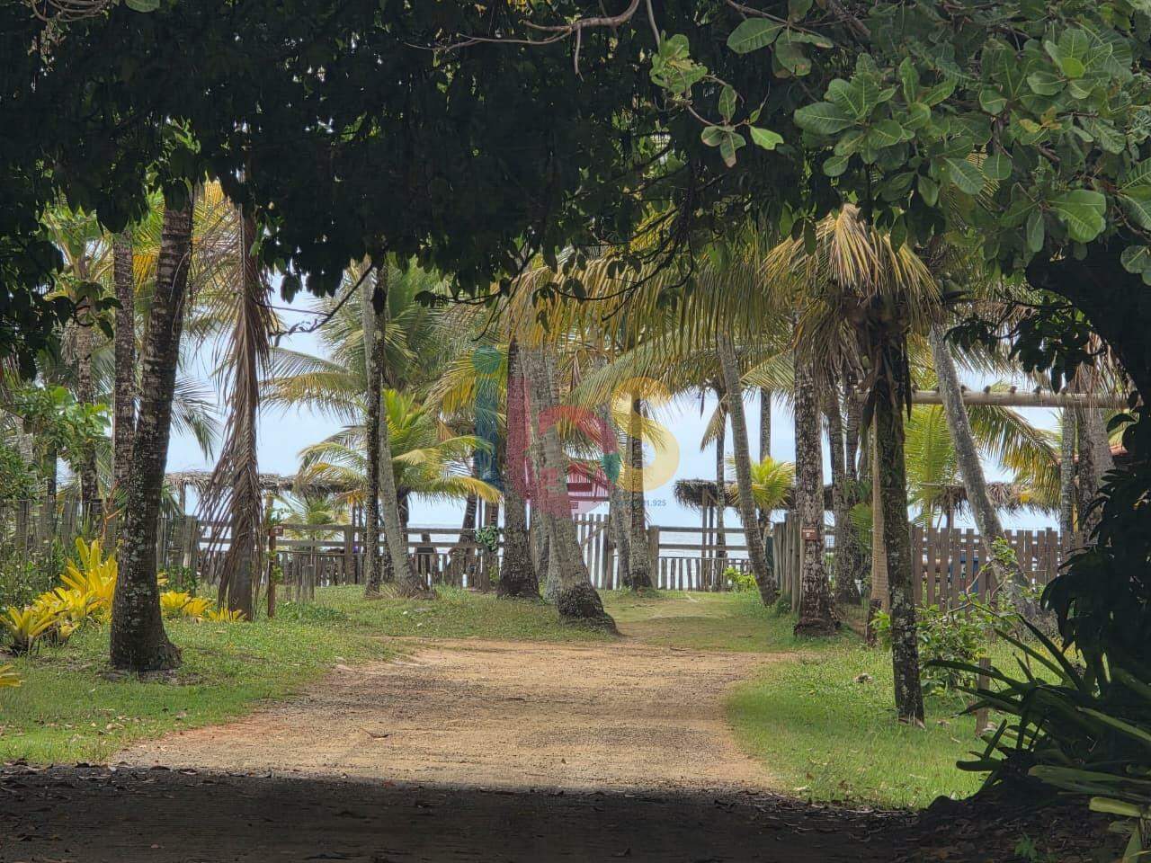 Terreno, 100 hectares - Foto 1