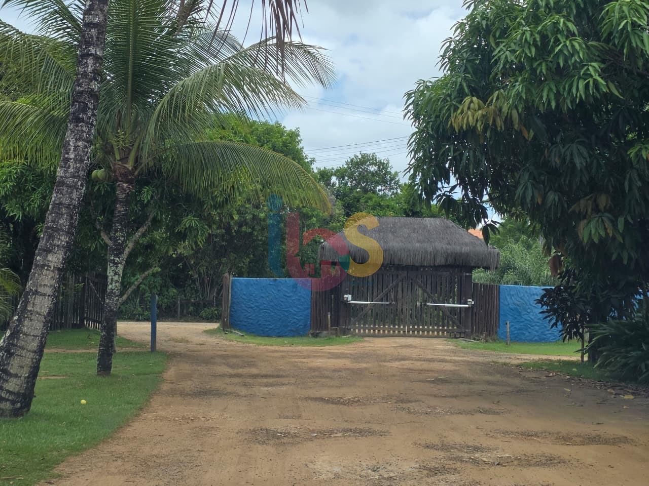 Terreno, 100 hectares - Foto 3