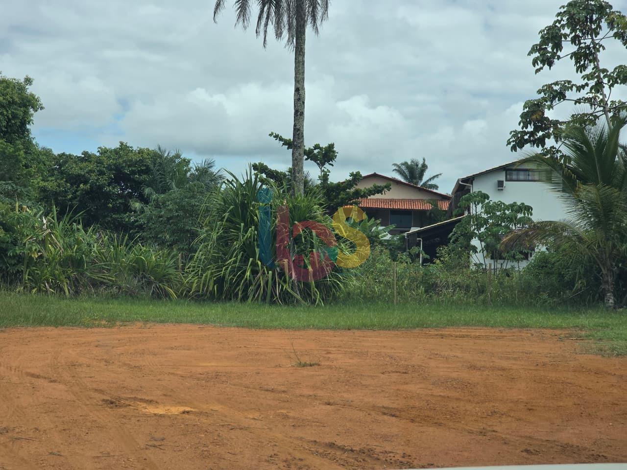 Terreno, 100 hectares - Foto 8