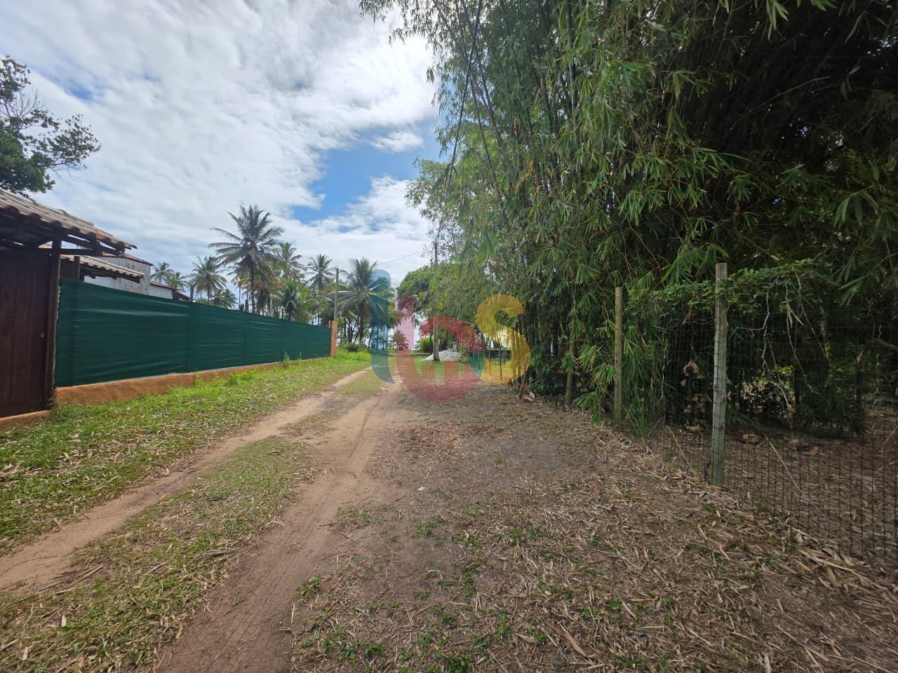 Terreno, 60 hectares - Foto 4