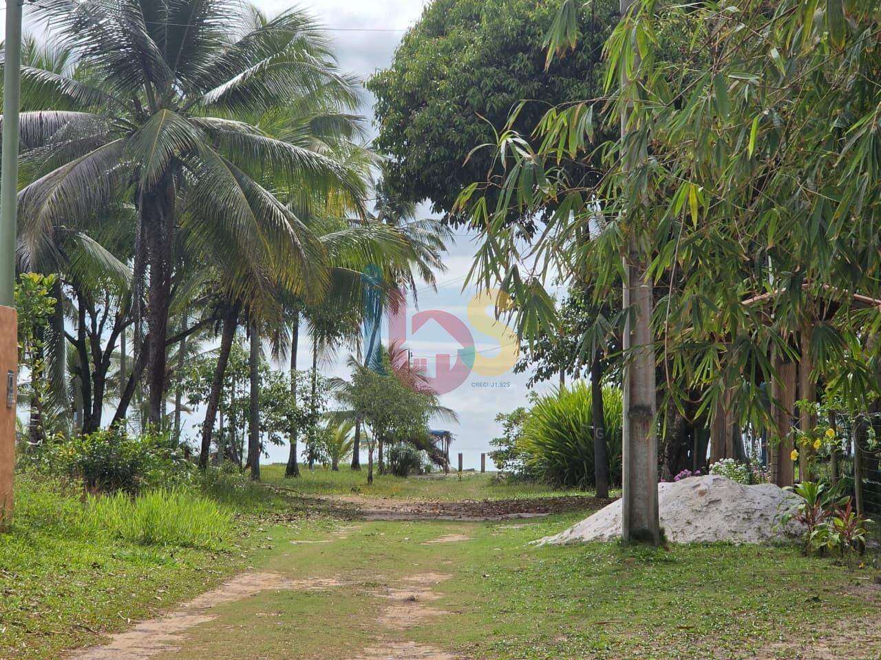 Terreno, 60 hectares - Foto 1