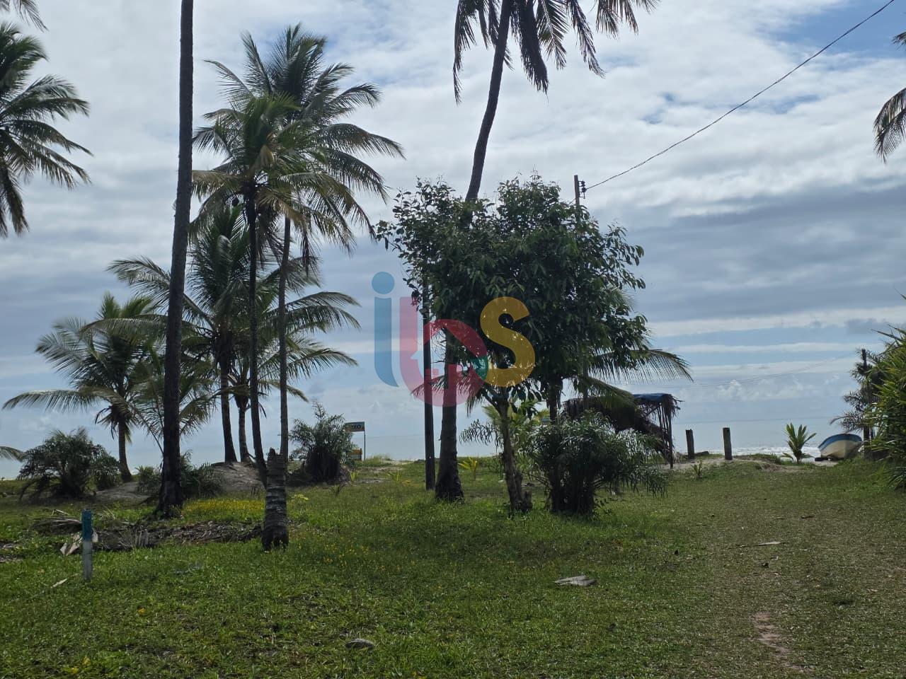 Terreno, 60 hectares - Foto 3