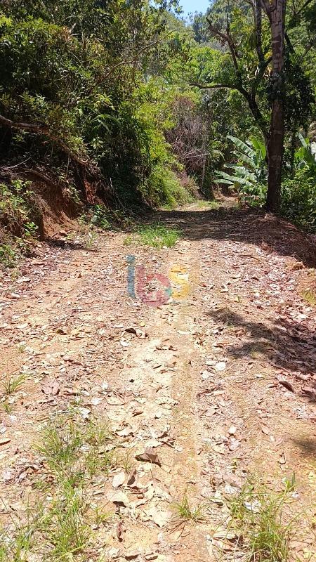 Terreno, 13 hectares - Foto 4