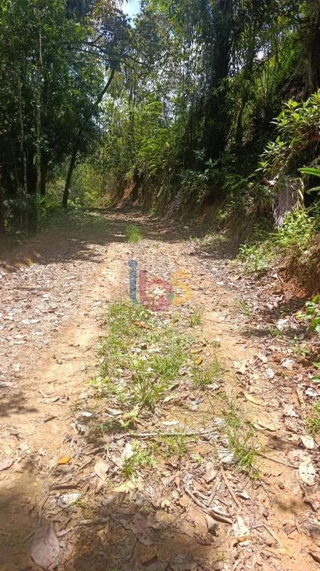 Terreno, 13 hectares - Foto 2