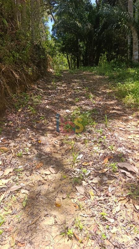 Terreno, 13 hectares - Foto 3