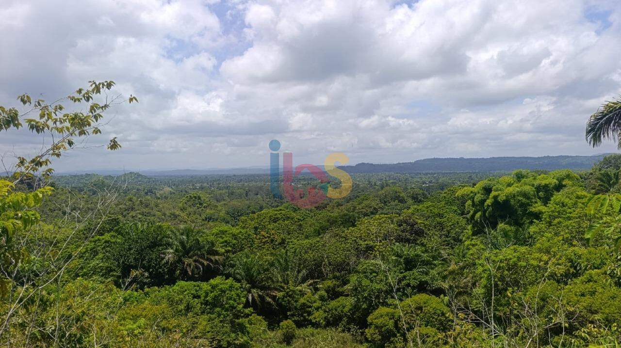 Terreno, 13 hectares - Foto 1