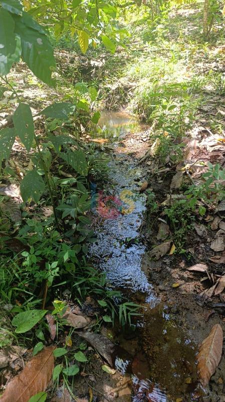 Terreno, 13 hectares - Foto 9