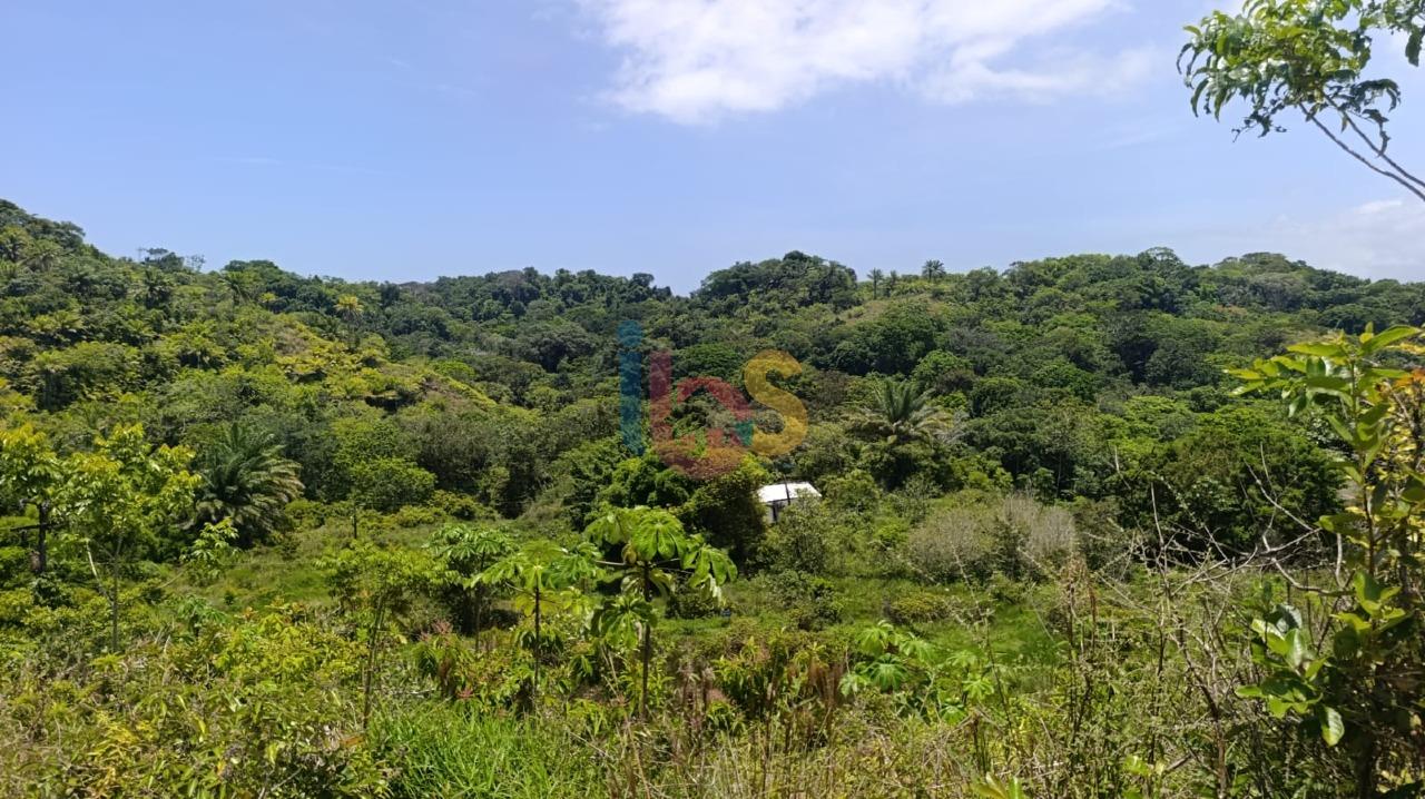 Terreno, 13 hectares - Foto 8