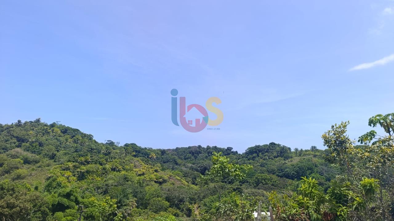 Terreno, 13 hectares - Foto 7