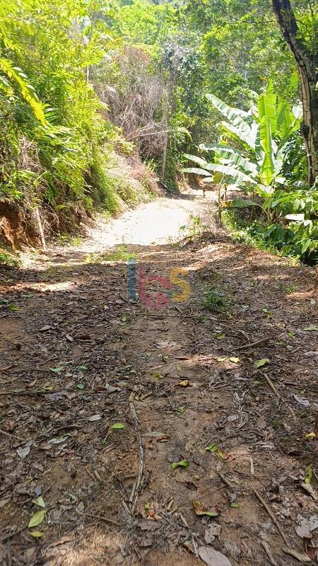 Terreno, 13 hectares - Foto 5