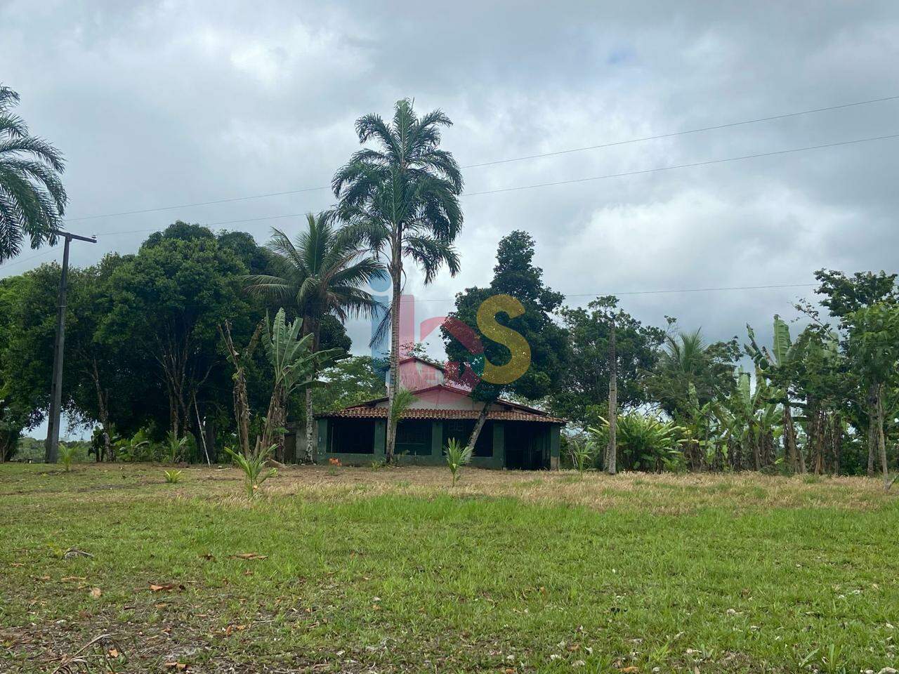 Sítio - Foto 4