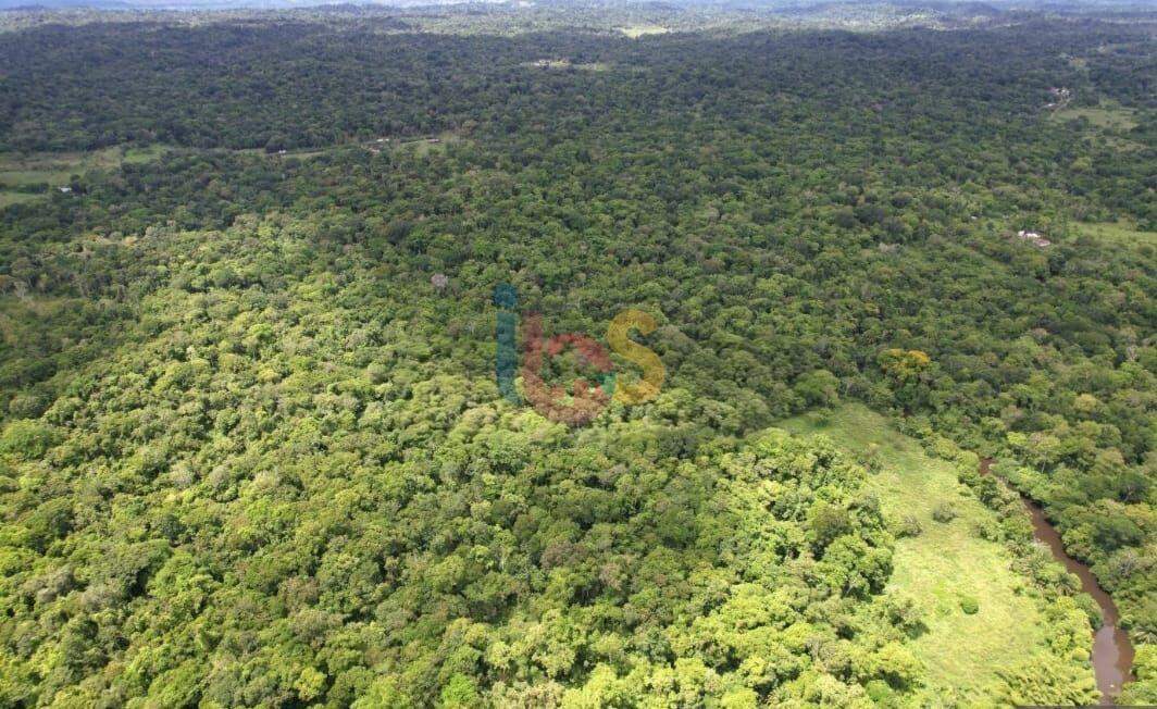 Fazenda, 800 hectares - Foto 6