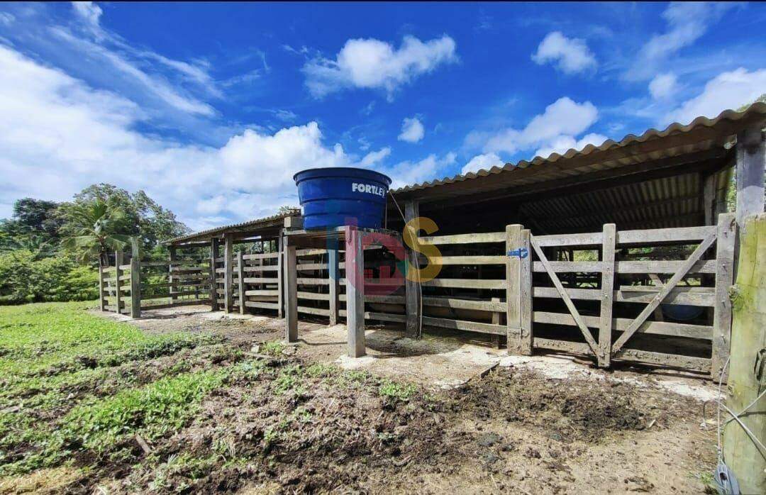 Fazenda, 800 hectares - Foto 8
