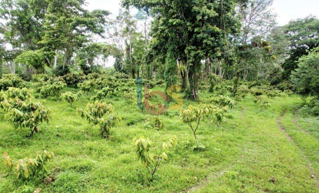 Fazenda, 800 hectares - Foto 11